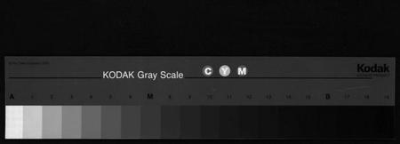 湖南向氏族谱-向氏三修族谱 [14卷,首1卷].pdf电子版
