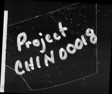 湖南向氏族谱-向氏五修族谱 [4卷,及卷首].pdf电子版插图1