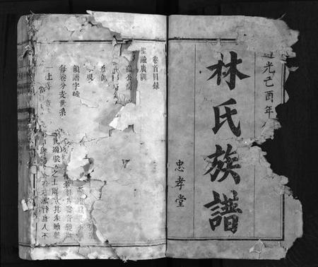 江西林氏族谱-袁郡学前林氏族谱 [12卷,首1卷].pdf电子版插图2