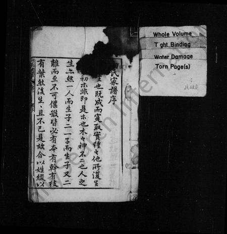 湖南向氏族谱-向氏族谱 [6卷].pdf电子版插图2