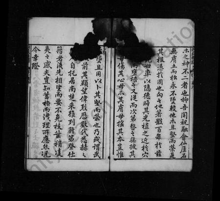 湖南向氏族谱-向氏族谱 [6卷].pdf电子版插图5