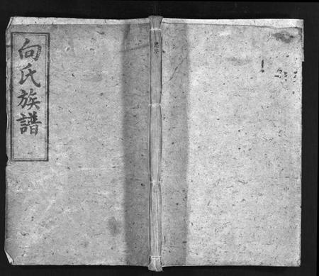 湖南向氏族谱-向氏族谱[总卷数不详].pdf电子版插图1