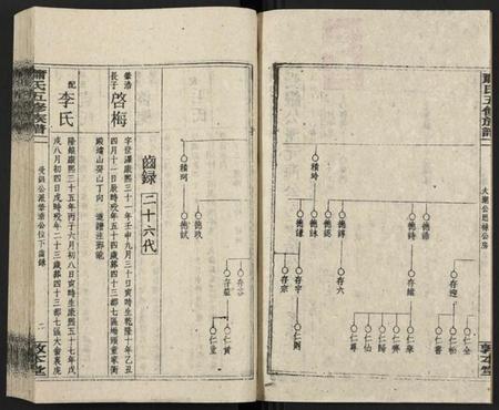 湖南萧氏族谱-秀溪萧氏五修族谱 [存69卷].pdf电子版插图2