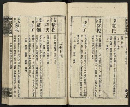 湖南萧氏族谱-秀溪萧氏五修族谱 [存69卷].pdf电子版插图3