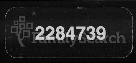 湖南萧氏族谱-萧氏七修家谱 [8卷,含卷首].pdf电子版