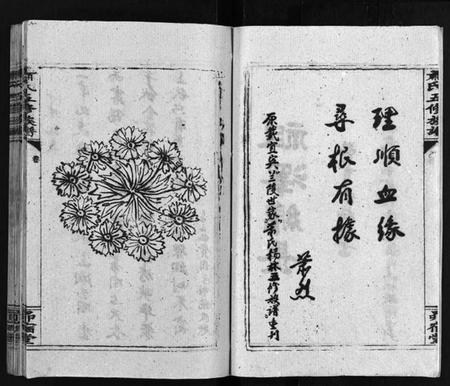 湖南萧氏族谱-萧氏五续族谱 [14卷,首末各1卷].pdf电子版插图5