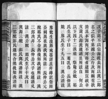 湖南萧氏族谱-萧氏续修支谱 [9卷,首2卷].pdf电子版插图4