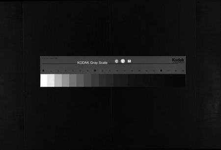 湖南谢氏族谱-学堂谢氏族谱 [86卷含首12卷,续录1卷,纪念册1卷,摊谱5卷含卷首].pdf电子版