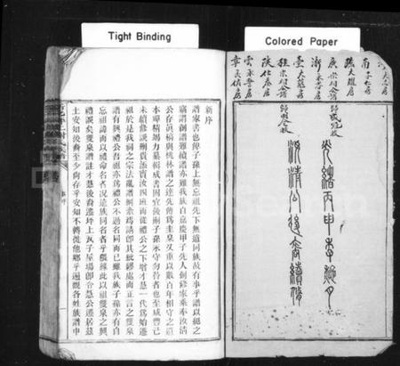 湖南谢氏族谱-新化坪上谢氏族谱 [16卷,首1卷].pdf电子版插图2