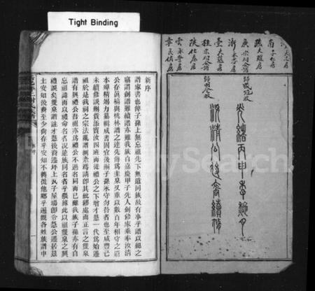 湖南谢氏族谱-新化坪上谢氏族谱 [16卷,首1卷].pdf电子版插图3