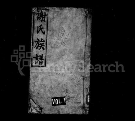 湖南谢氏族谱-新化坪上谢氏族谱 [17卷,首1卷].pdf电子版插图1