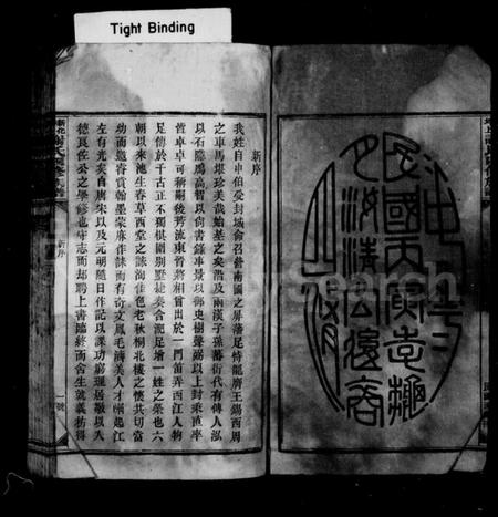 湖南谢氏族谱-新化坪上谢氏族谱 [17卷,首1卷].pdf电子版插图4