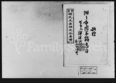 湖南谢氏族谱-湘乡侯堂谢氏大宗任之公房谱.pdf电子版插图1