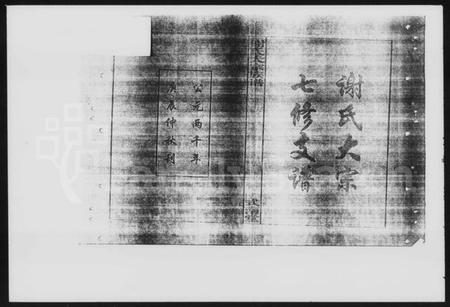 湖南谢氏族谱-湘乡侯堂谢氏大宗任之公房谱.pdf电子版插图2