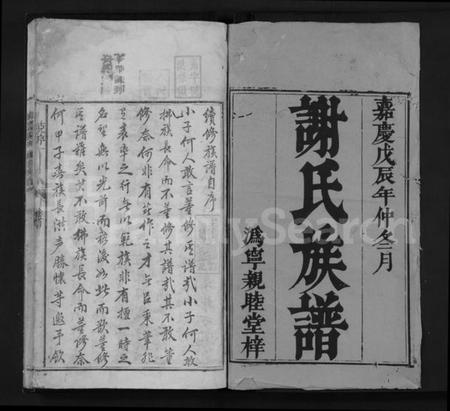 湖南谢氏族谱-沩宁谢氏续修族谱 [7卷,首末各1卷].pdf电子版插图1