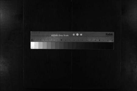 湖南谢氏族谱-罗渡谢氏通谱 [12卷,首1卷].pdf电子版