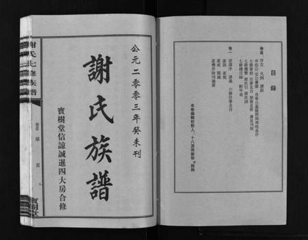 湖南谢氏族谱-谢氏七修族谱 [39卷,首1卷].pdf电子版插图2