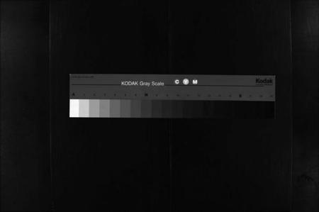 湖南谢氏族谱-谢氏大宗族谱 [按房分卷,12函,及首函上下].pdf电子版