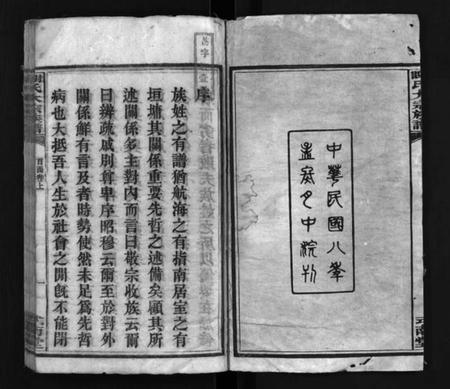 湖南谢氏族谱-谢氏大宗族谱 [按房分卷,12函,及首函上下].pdf电子版插图3