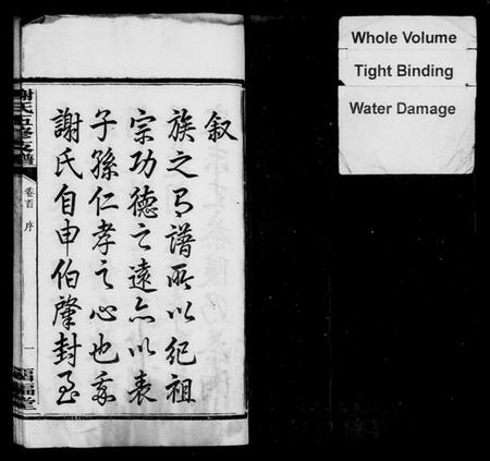 湖南谢氏族谱-谢氏支谱 [14卷,含卷首].pdf电子版插图3