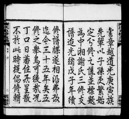 湖南谢氏族谱-谢氏支谱 [14卷,含卷首].pdf电子版插图5