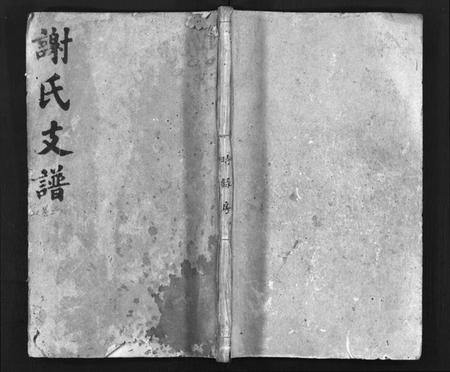 湖南谢氏族谱-谢氏支谱 [4卷,首2卷].pdf电子版