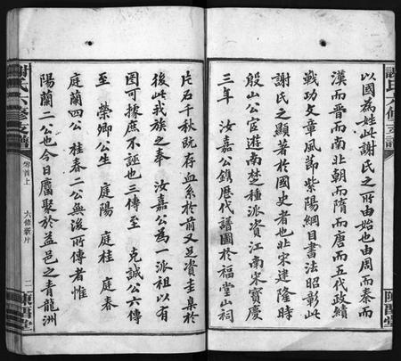 湖南谢氏族谱-谢氏支谱 [4卷,首2卷].pdf电子版插图3