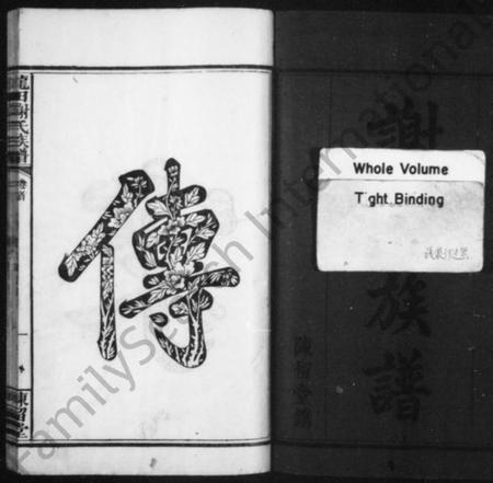 湖南谢氏族谱-谢氏族谱 [40卷,及卷首].pdf电子版插图3