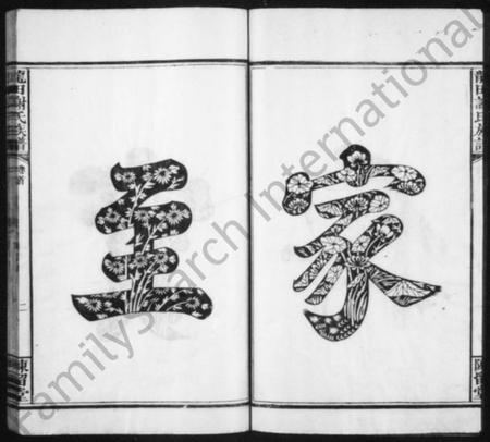 湖南谢氏族谱-谢氏族谱 [40卷,及卷首].pdf电子版插图4