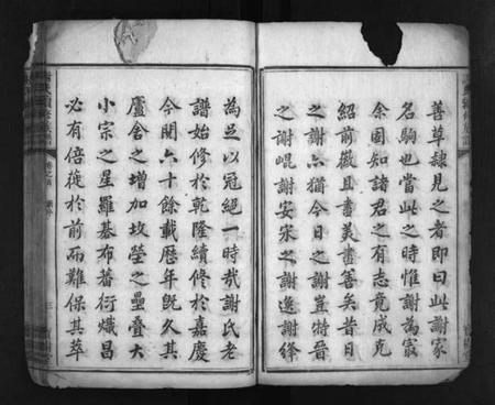 湖南谢氏族谱-谢氏续修族谱 [3卷,首2卷].pdf电子版插图4