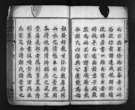 湖南谢氏族谱-谢氏续修族谱 [3卷,首2卷].pdf电子版插图5