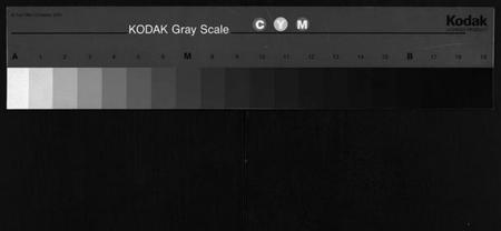 湖南谢氏族谱-谢氏通谱 [45卷,另6卷].pdf电子版