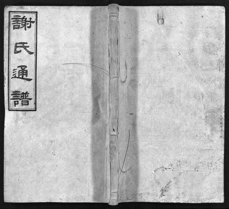 湖南谢氏族谱-谢氏通谱 [45卷,另6卷].pdf电子版插图1