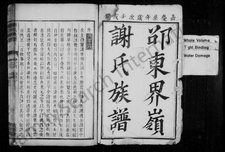 湖南谢氏族谱-邵东界岭谢氏族谱 [1卷,首1卷].pdf电子版插图1