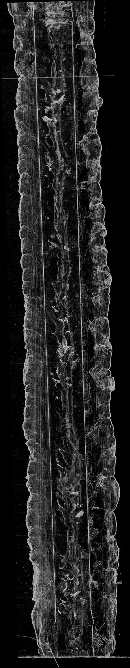 湖南谢氏族谱-醴陵谢氏五修族谱 [8卷,首1卷].pdf电子版插图2