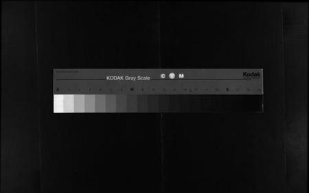 湖南谢氏族谱-谢氏族谱 [10卷,首3卷].pdf电子版