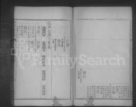 湖南谢氏族谱-谢氏四续族谱 [残卷].pdf电子版插图5