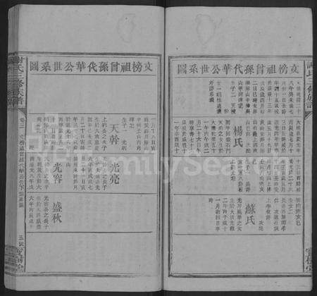 湖南谢氏族谱-谢氏三修族谱 [6卷,首1卷].pdf电子版插图5