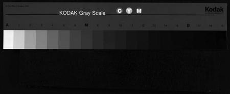 湖南谢氏族谱-谢氏九修支谱 [14卷,含卷首].pdf电子版