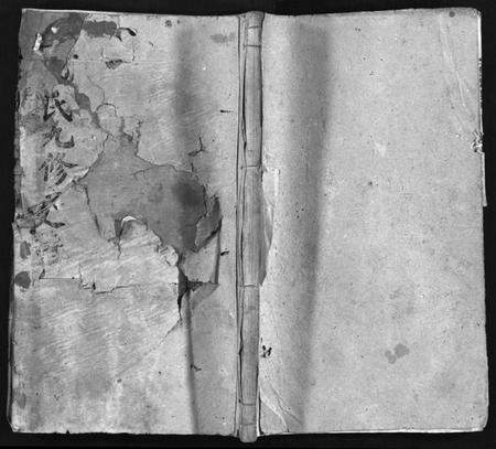 湖南谢氏族谱-谢氏九修支谱 [14卷,含卷首].pdf电子版插图1