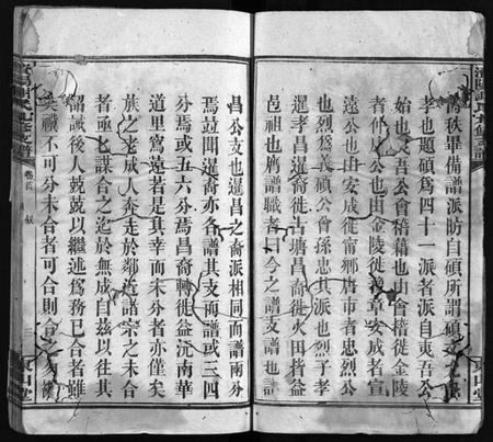 湖南谢氏族谱-谢氏九修支谱 [14卷,含卷首].pdf电子版插图4