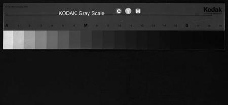 湖南谢氏族谱-学堂谢氏续谱 [不分卷].pdf电子版