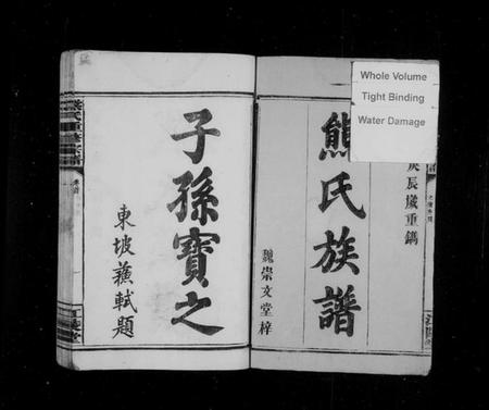 湖南熊氏族谱-熊氏族谱 [19卷,及卷首].pdf电子版插图3