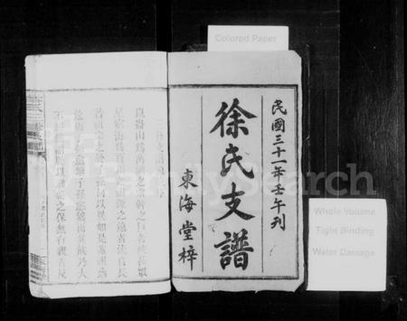 湖南徐氏族谱-徐氏支谱 [8卷,首2卷].pdf电子版插图2