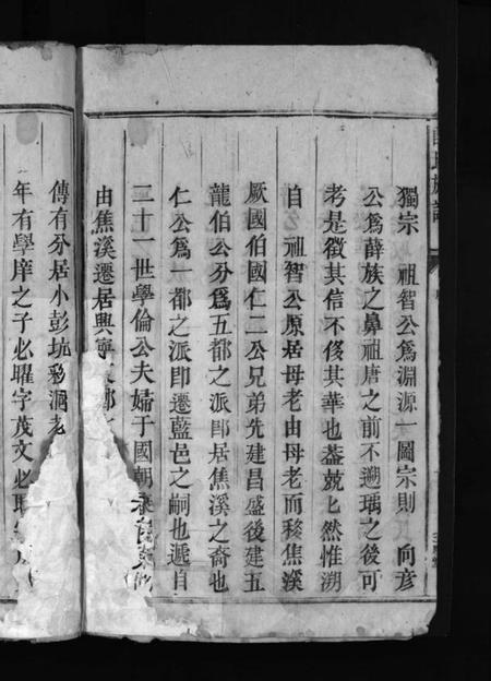 湖南薛氏族谱-薛氏族谱 [4卷].pdf电子版插图4