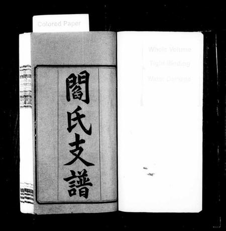 湖南阎氏族谱-阎氏支谱 [17卷,首末各3卷].pdf电子版插图2
