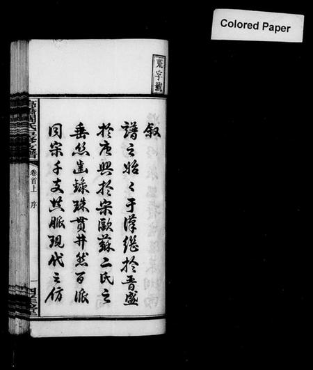 湖南阎氏族谱-阎氏支谱 [17卷,首末各3卷].pdf电子版插图4