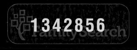 湖南颜氏族谱-东岸颜氏七修族谱 [10集].pdf电子版