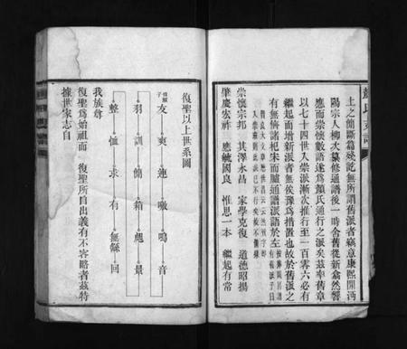 湖南颜氏族谱-颜氏支谱 [13卷].pdf电子版插图2