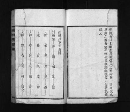 湖南颜氏族谱-颜氏支谱 [13卷].pdf电子版插图3